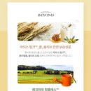 모어비욘드
