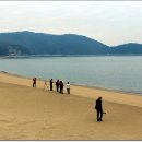 서포리 해수욕장 Daum카페