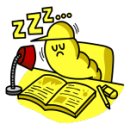 코샷 이미지