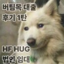 e-ing pc zone | HF 청년 버팀목 전세대출 후기 ] / 법인 임대인, 1년...법인 서류 / ① KB시세 매물 찾기 ~ (1탄 ) ~ing