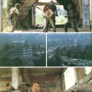 싸이보그 이미지