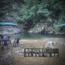 라임벨리 이미지