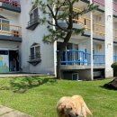 제주도 게스트하우스 파티 빅썸 이미지