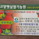 늘햇살농원 이미지