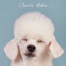 유전농장 이미지