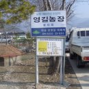 영길농장 이미지