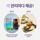 더플랜필라테스 | 양주/옥정] 1:1체형 분석 | 누워서 살 빼는 맞춤형 플랜 3회차 후기 :: 이안필라테스 핏티 다이어트 옥정점
