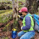 담양 리조트가족호텔 이미지