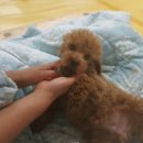 태우바이오 이미지