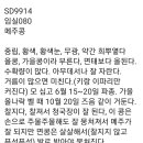 (마감)임실메주콩 반송이 씨앗나눔 이미지