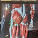 더바른핏 | 사가정PT 초보자도 운동을 쉽고 정확하게 배울 수 있는 더바른핏