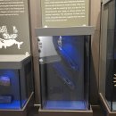 울산암각화박물관 이미지