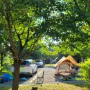 화랑유원지_남측 이미지