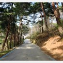 청량학동길 이미지