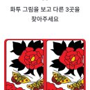 눈썰미 - 수원시 권선구 | 눈썰미