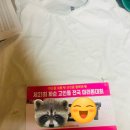 화순고인돌마라톤 Half후기(?)