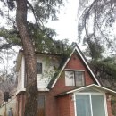 숲이랑농원 이미지