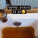 힐링엔젤스울산