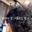 헤어뷰티 티스토리