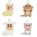 짱구가짱 이미지