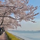 하단1동-4 이미지