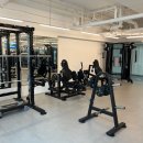 바디플렉스짐 개화산역점 이미지