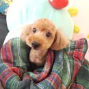 뚜뚜네 미용실 이미지