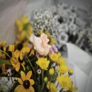 선산단계주차장 | 고대구로병원장례식장 비용 위치 안내 발인주의사항 까지 포함됐어요