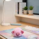 대바늘 손뜨개인형(강좌번호 : 4 ) | 11월 함뜨신청마감))블랙모카 수면사 손목받침대/청송뜨개실