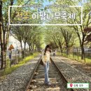 GS25팔복공단점 | 전주 팔복동 이팝나무축제_하얀 이팝나무 철길 따라 걷는 낭만여행(ft. 팔복예술공장)