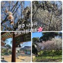 무양서원 | [광주 산책] 도심 속 봄 꽃구경 고즈넉한 무양서원, 매화 향기와 함께하는 가벼운 주말 나들이