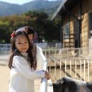 서운농장 이미지