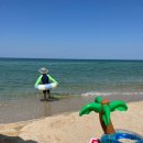 세븐일레븐 강릉해안로점 이미지