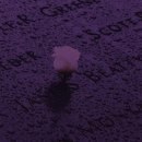 추도펜션 이미지