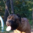 누구개요 이미지