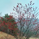 모서명가