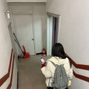 한남동 북카페ㅣ블루도어북스, 혼자 알고 싶은데 이미 모두 알고 있는,,, 그런 느좋 카페📚