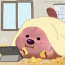 꽁이의 마켓