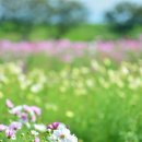 당신이 있어 좋은세상 이미지