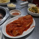 토종도새기