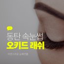 뷰티오키드네일 | 동탄 2신도시 속눈썹 전문점 오키드래쉬 방문후기
