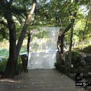 웨딩스위치 이미지