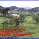 성만농장 이미지