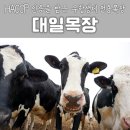 대일목장 이미지