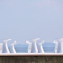 남당항 해양분수공원 이미지