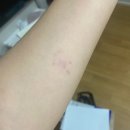 상원당구장 이미지