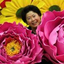 모란디자인