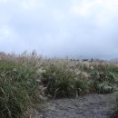 우정렌트카 이미지