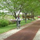 낙동강변로-1 이미지