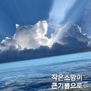 3월8일 고발뉴스 이미지